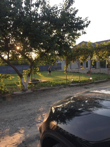 La Olteanu La Olteanu