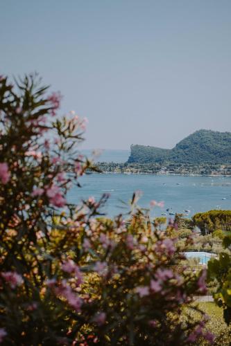 Studio with Lake View
