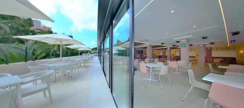 Patogumai, Prince Park in Benidormas- Kosta Blanka