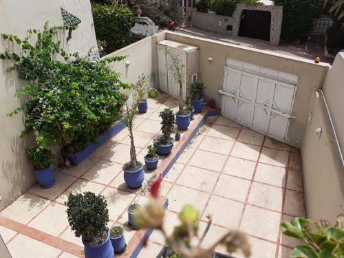 Villa Majorelle City Center in 아가디르