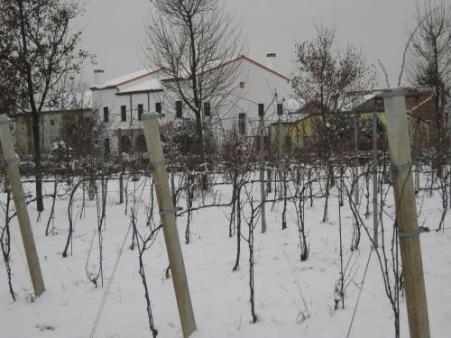 Villa Gaudio in Ponte San Nicolo