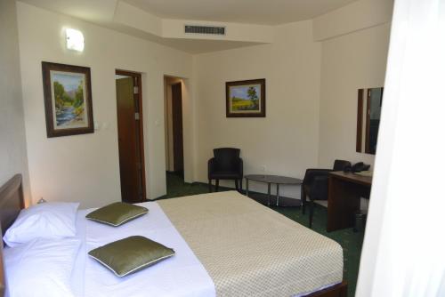 Hotel Trebjesa - image 4