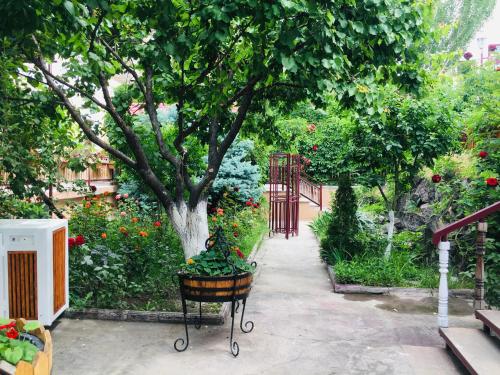 Eco – Yerevan, NY