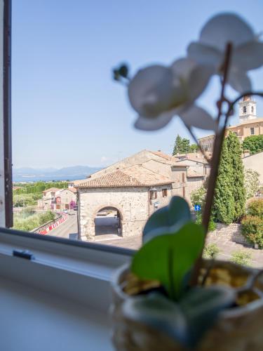  Yourbanflat Garda Lake View in Calmasino