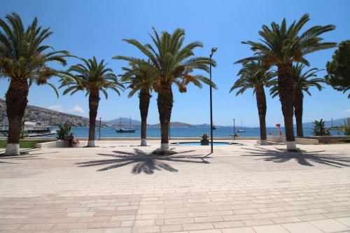 Hotel Ari – Saranda, OR