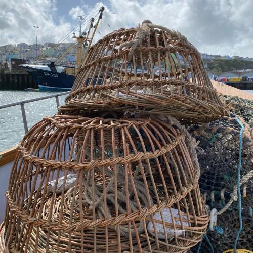LOBSTER POT APARTMENT with stunning harbour and sea views and free parking for one car & pet friendl