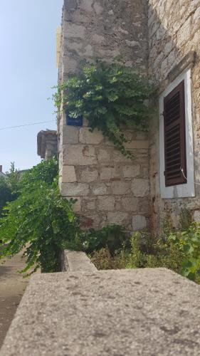 Viesnīcas āriene, Stone house apartment in Zlarin centre in Zlarin