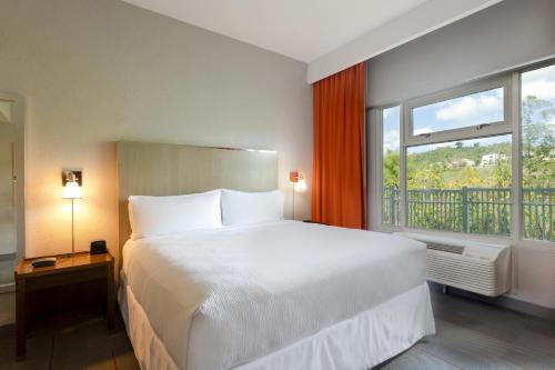 Guestroom, Four Points by Sheraton Caguas Real Hotel & Casino in Caguas