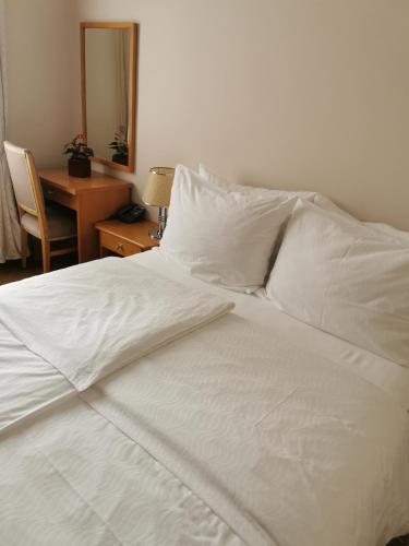 Vila Bled Room Type - Economy Double Room