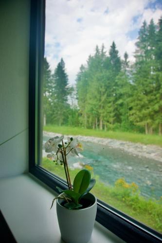 Изглед, Mountain Hostel City in Оберсдорф
