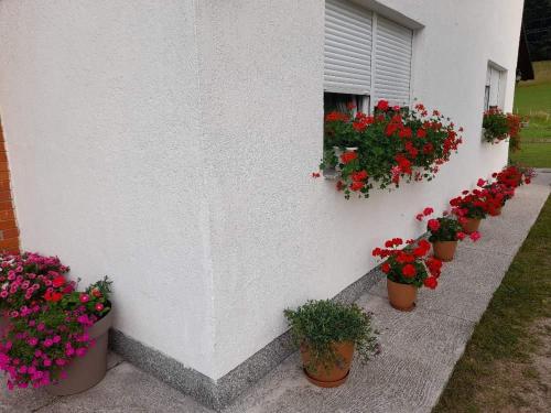  Rooms Danica in Donji Babin Potok