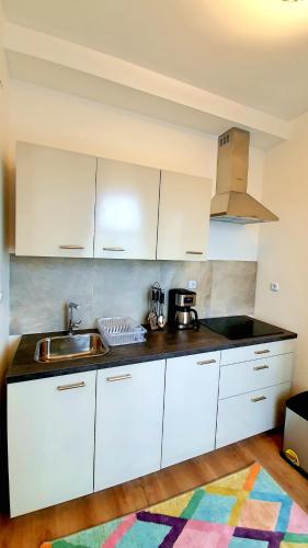 virtuve, Zur Krone Aparthotel in Heringen (Werra)
