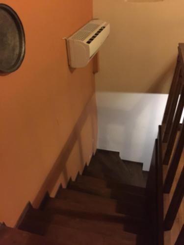 Eleatis in Margariti