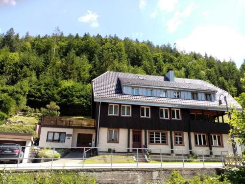 Cosy flat in St Blasien in the Black Forest with balcony and private terrace