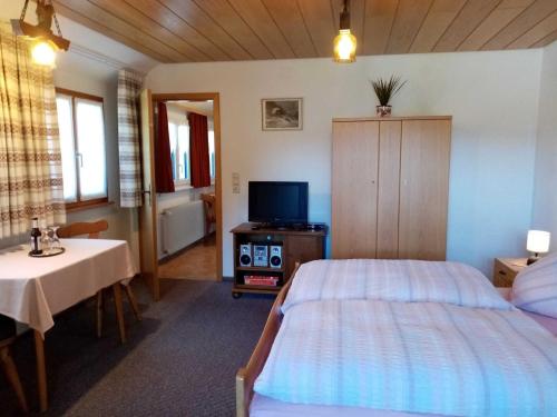 Cosy flat in St Blasien in the Black Forest with balcony and private terrace