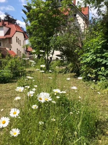 Villa Hanne - main image