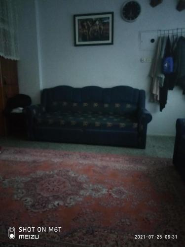Kasım MUTLU