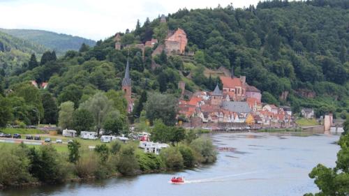 Natur und Neckarblick bei Heidelberg