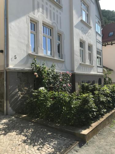 Villa Hanne - image 13