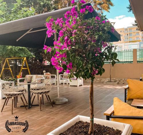 Hotel Ambasador - image 12