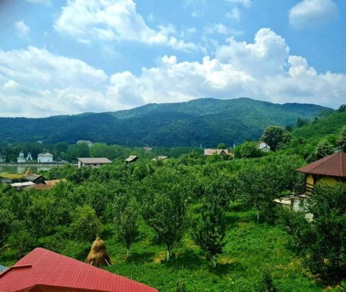 Vila Ostrov