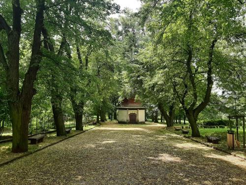 Apartmán Dvořák 194 pod Svatou horou (Apartman Dvorak 194 pod Svatou horou) in Pribram