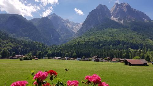 Landhaus Waldrebe - Apartment - Grainau