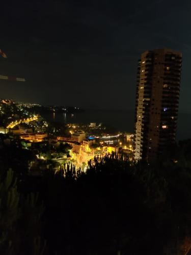 Vue mer Monaco