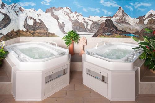 Appartements Zermatt Paradies - image 5
