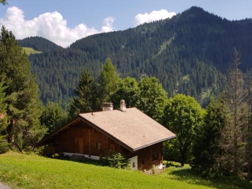 Appartement - dans le chalet Carmazin