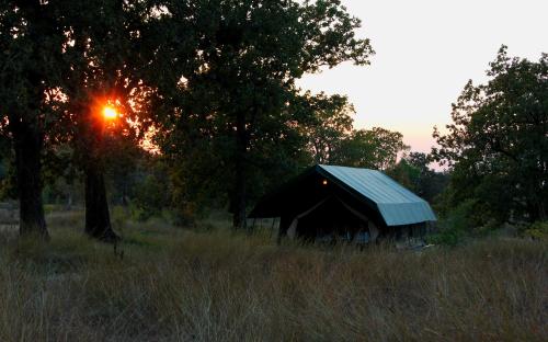 NaturesGroove Jungle Camp Basinkhar, Mukki, Kanha, Baihar