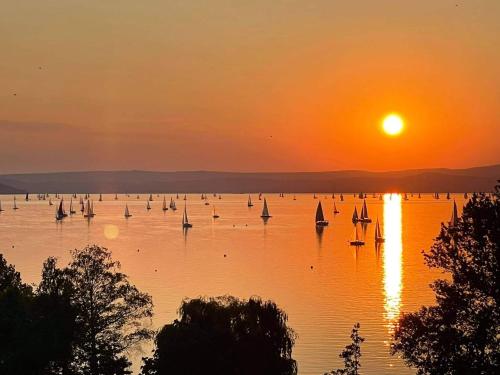 Ikon, Siófok (Foto 6)