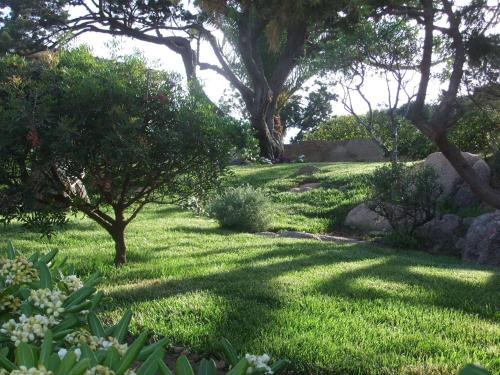 Residenza Nialiccia – Porto Cervo, NJ