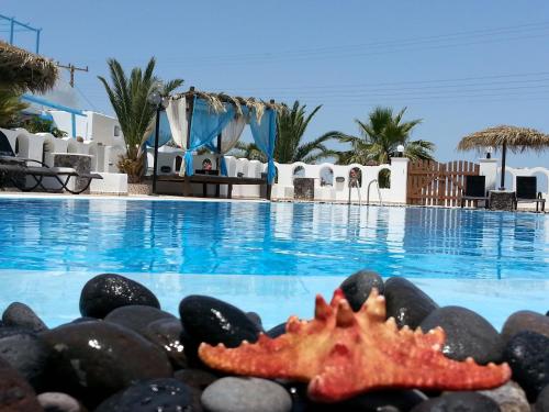 Villa Livadaros - image 14