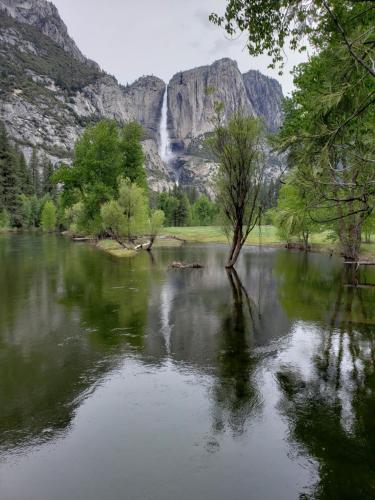 Yosemite Foothill Retreat