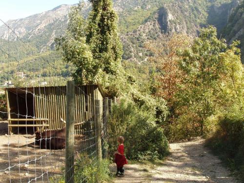 กิจกรรม, Bellevue in พราด