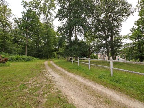 Traditional Holiday Home in Raizeux with Terrace - image 4