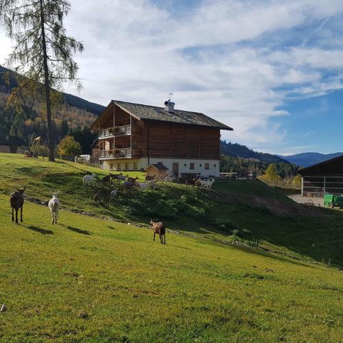 Agritur Maso Piasina 3
