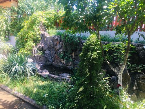 Eco – Yerevan, NY