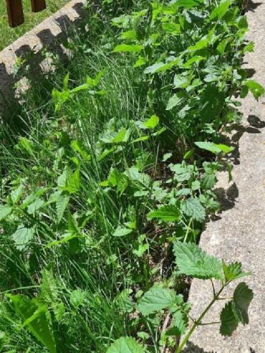 Mountain House Jelovica