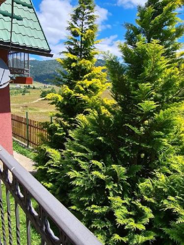 Mountain House Jelovica