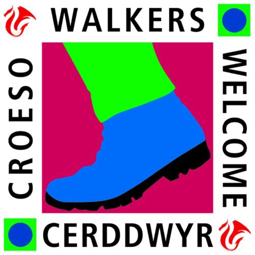 Cwmllechwedd Fawr CYF