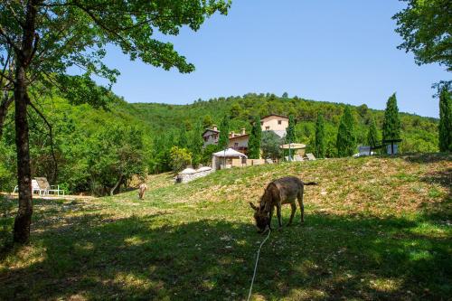 Borgo Incantato Spoleto