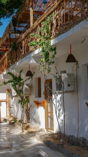 Sunrise Dahab lodge 5