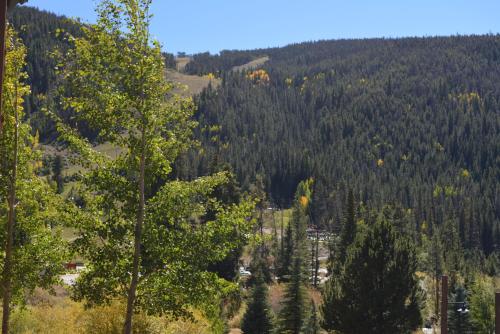 Tenderfoot Lodge - image 8