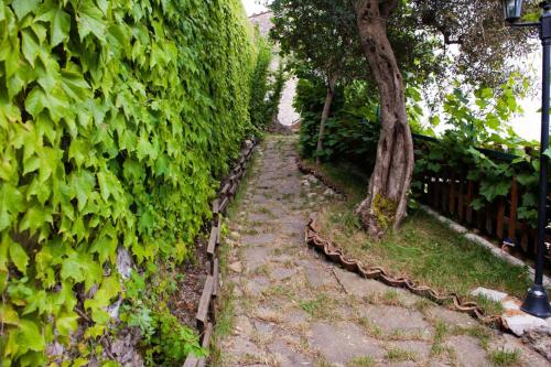 迪莫拉安蒂卡住宿加早餐旅馆