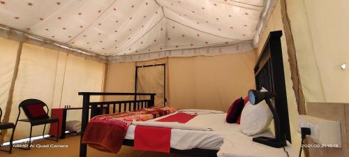 incredible desert camp & safari
