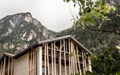 LaMonte Premium Apartments by Feuerstein - Accommodation - Colle Isarco