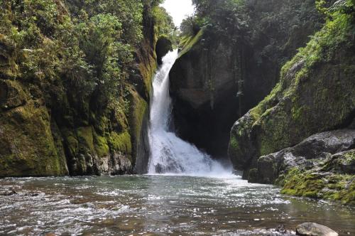 Sueños del Bosque Lodge