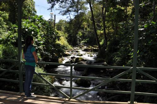 Sueños del Bosque Lodge